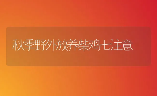 秋季野外放养柴鸡七注意 | 家禽养殖