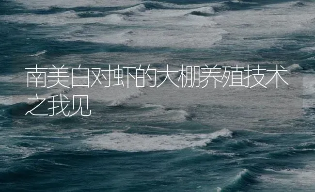 南美白对虾的大棚养殖技术之我见 | 海水养殖