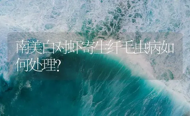 南美白对虾寄生纤毛虫病如何处理？ | 海水养殖