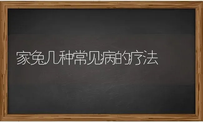 家兔几种常见病的疗法 | 家畜养殖