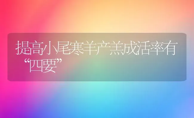 提高小尾寒羊产羔成活率有“四要” | 家畜养殖