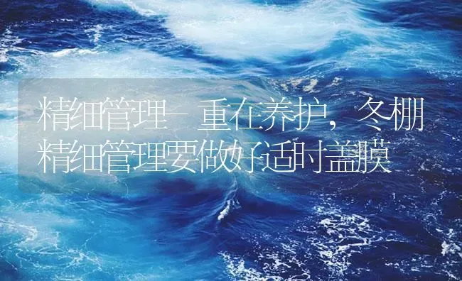 精细管理-重在养护，冬棚精细管理要做好适时盖膜 | 海水养殖