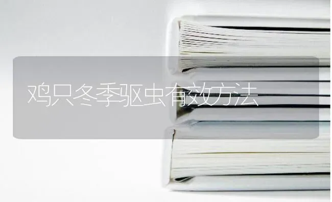 鸡只冬季驱虫有效方法 | 家禽养殖