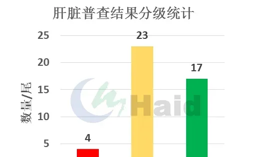 危急！一大波鱼病即将来袭，您的鱼塘顶的住吗？