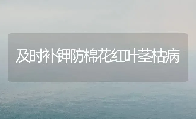 柳树叶防治鱼肠炎、烂腮、赤皮病 | 淡水养殖