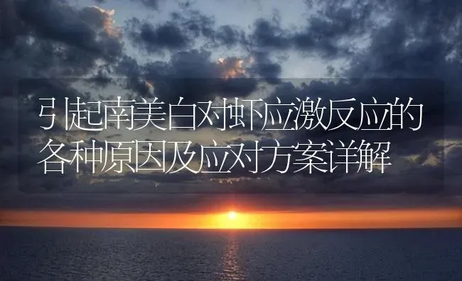 引起南美白对虾应激反应的各种原因及应对方案详解 | 海水养殖