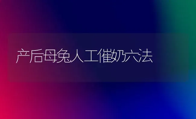 产后母兔人工催奶六法 | 家畜养殖