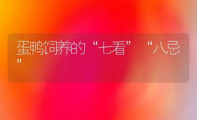 蛋鸭饲养的“七看”“八忌” | 家禽养殖