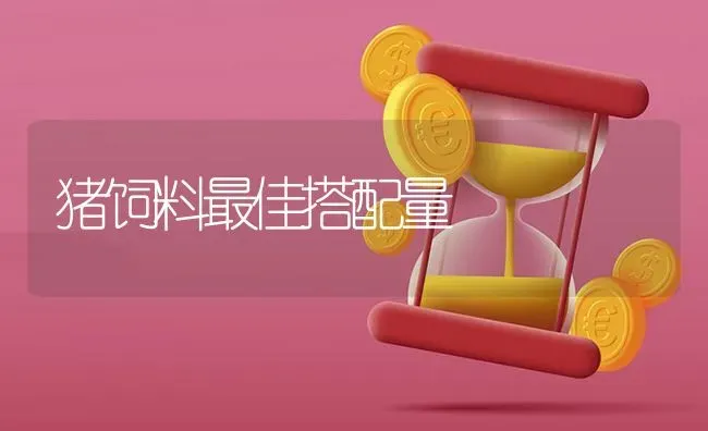 猪饲料最佳搭配量 | 家畜养殖