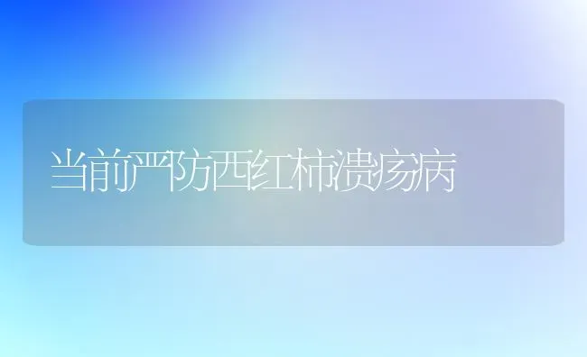 怎样使肉鸡更受欢迎 | 家禽养殖