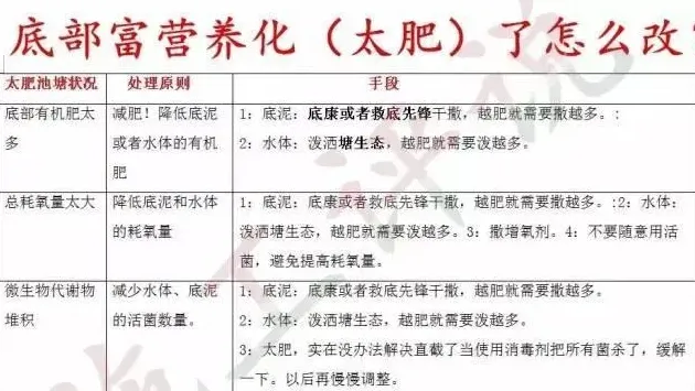 关于池塘养殖中“底改”的四个问题探讨