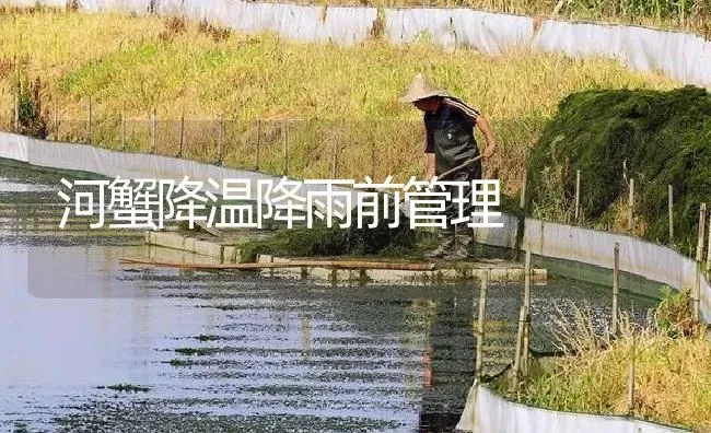 河蟹降温降雨前管理 | 淡水养殖