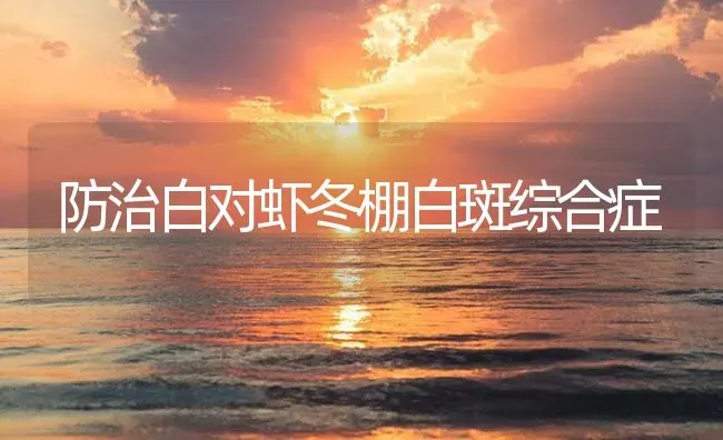 防治白对虾冬棚白斑综合症 | 海水养殖