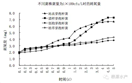 水产养殖中使用芽孢杆菌耗氧知多少？