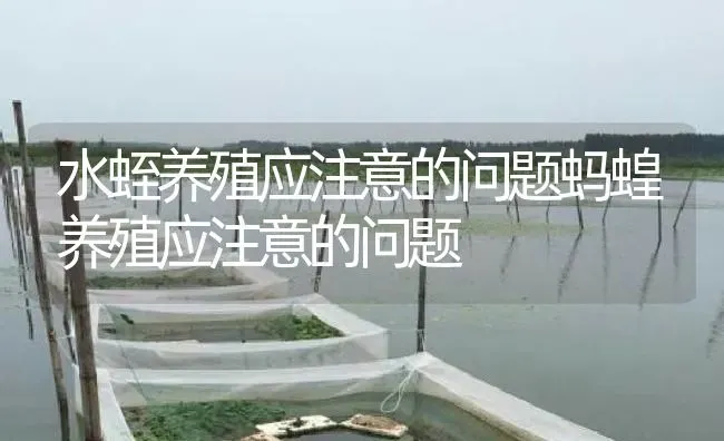 水蛭养殖应注意的问题蚂蝗养殖应注意的问题 | 特种养殖