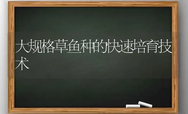 大规格草鱼种的快速培育技术 | 淡水养殖