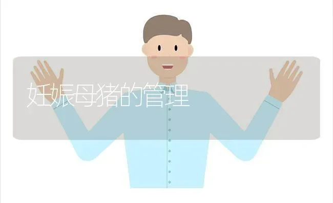 妊娠母猪的管理 | 家畜养殖