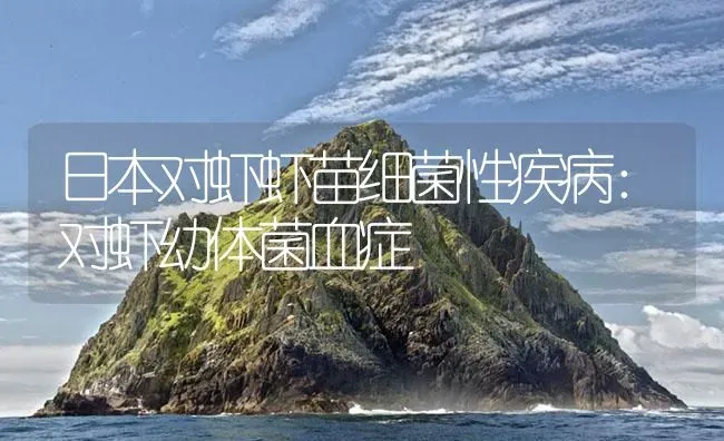 日本对虾虾苗细菌性疾病：对虾幼体菌血症 | 海水养殖