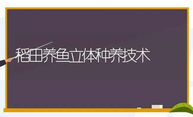 稻田养鱼立体种养技术 | 动物养殖百科