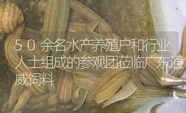 50余名水产养殖户和行业人士组成的参观团莅临广东通威饲料 | 特种养殖