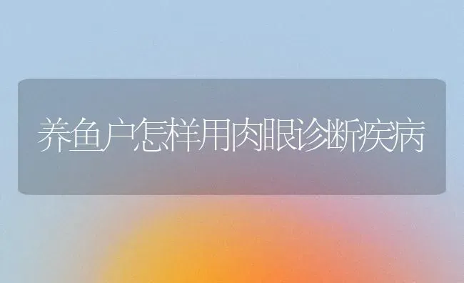 放养鸡饲料该如何搭配？ | 家禽养殖