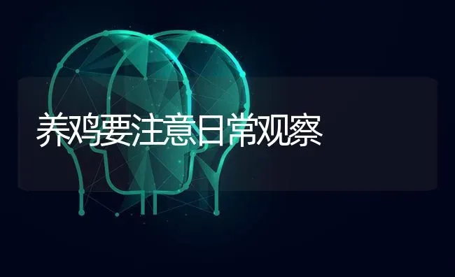 养鸡要注意日常观察 | 家禽养殖