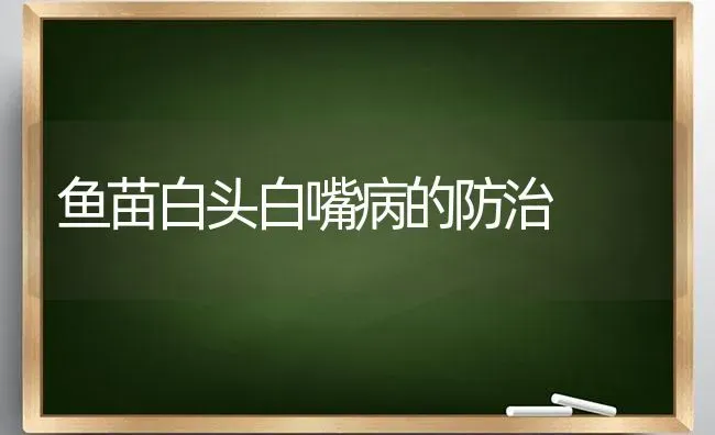 鱼苗白头白嘴病的防治 | 淡水养殖