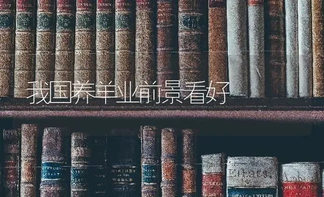 我国养羊业前景看好 | 家畜养殖