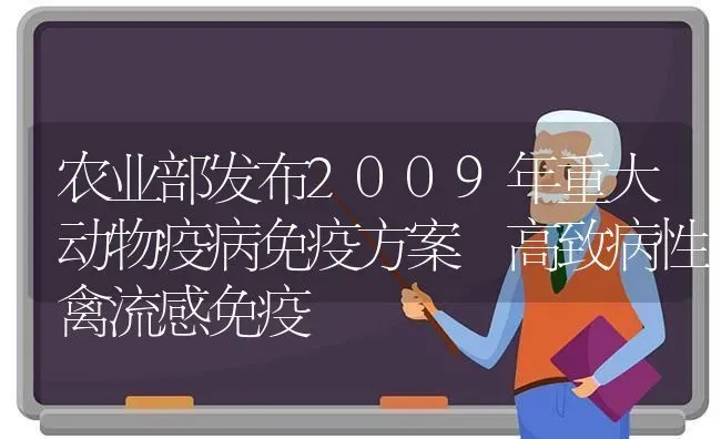 农业部发布2009年重大动物疫病免疫方案　高致病性禽流感免疫 | 家禽养殖