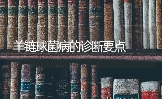 羊链球菌病的诊断要点 | 家畜养殖