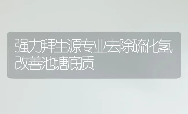 强力拜生源专业去除硫化氢改善池塘底质 | 动物养殖百科