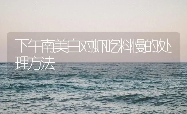 下午南美白对虾吃料慢的处理方法 | 海水养殖