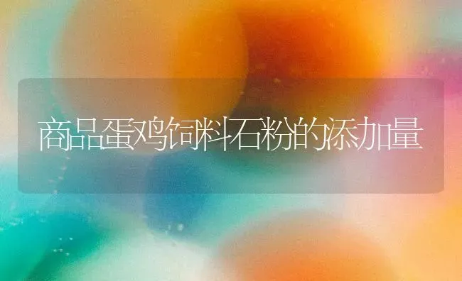 商品蛋鸡饲料石粉的添加量 | 家禽养殖