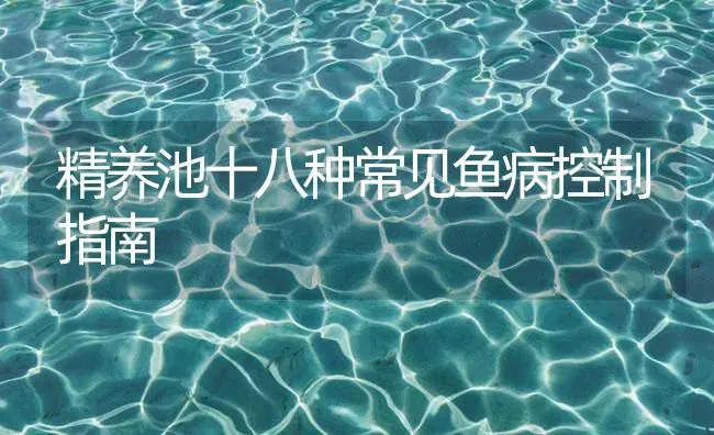 精养池十八种常见鱼病控制指南 | 养殖病虫害防治