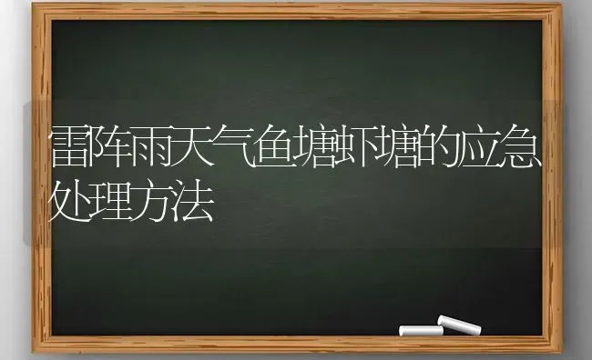 雷阵雨天气鱼塘虾塘的应急处理方法 | 淡水养殖