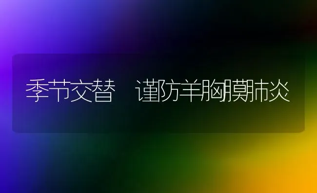 季节交替 谨防羊胸膜肺炎 | 家畜养殖