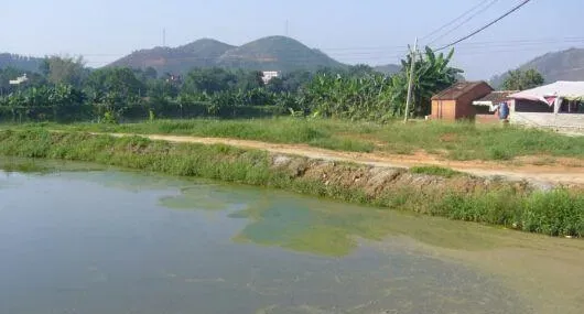 使用调水宝1号前摇一摇效果更佳