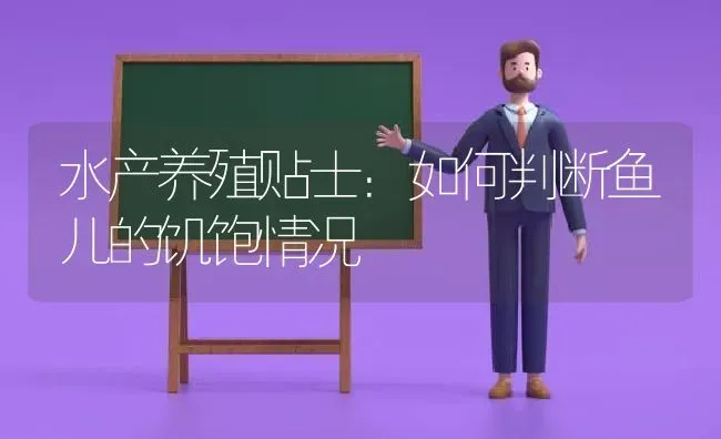 水产养殖贴士：如何判断鱼儿的饥饱情况 | 动物养殖百科