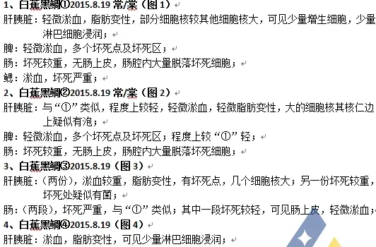 黑鲷、红鲉放苗后急性游水的处理方法