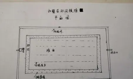 环沟塘和平底塘，用这两种苗塘培育蟹苗，分别有哪些优缺点？