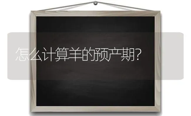 怎么计算羊的预产期？ | 家畜养殖