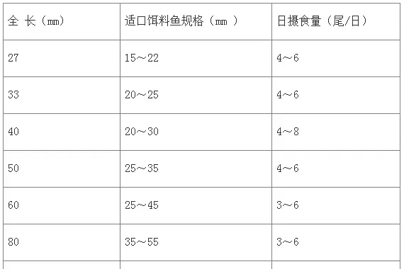 桂花鱼养殖实用技术要点