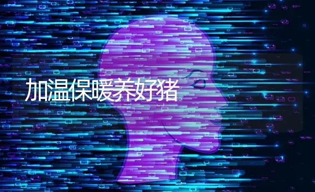 加温保暖养好猪 | 家畜养殖