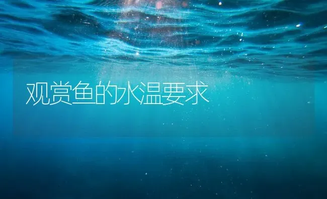 观赏鱼的水温要求 | 淡水养殖