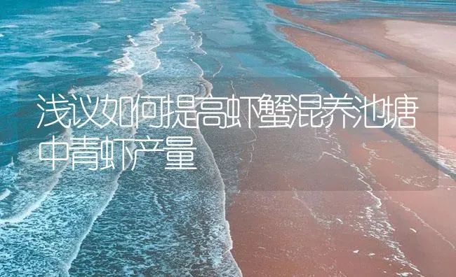 浅议如何提高虾蟹混养池塘中青虾产量 | 海水养殖