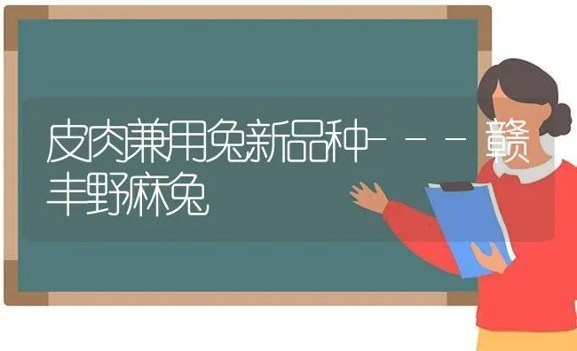 皮肉兼用兔新品种---赣丰野麻兔 | 家畜养殖