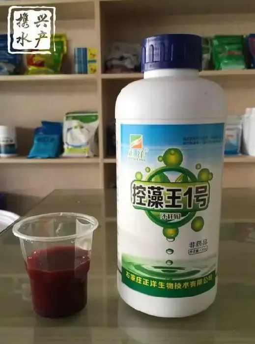 水产养殖户如何辨别优质乳酸菌和光合菌
