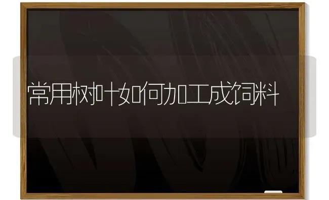 常用树叶如何加工成饲料 | 动物养殖饲料