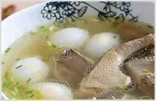 鸽子蛋的营养价值 | 动物养殖资料