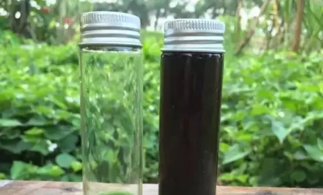 水产养殖户如何辨别优质乳酸菌和光合菌